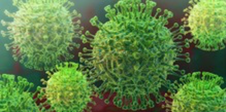 First Treatment For MERS Appears Safe In NIH Phase I Clinical Trial