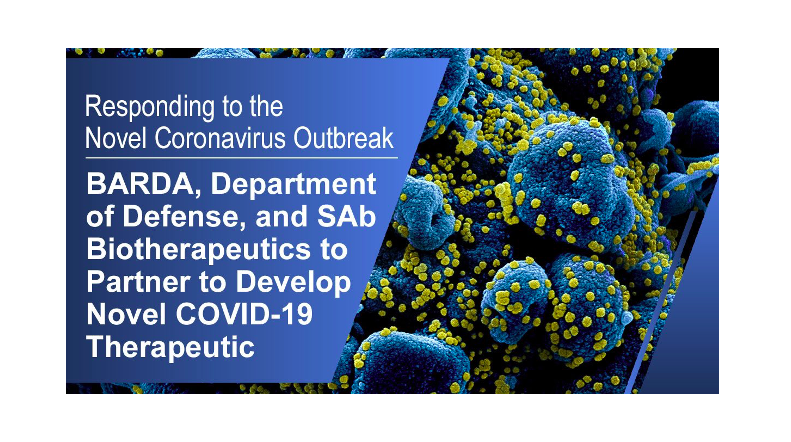 BARDA, Department Of Defense, And SAb Biotherapeutics To Partner To Develop A Novel COVID-19 Therapeutic